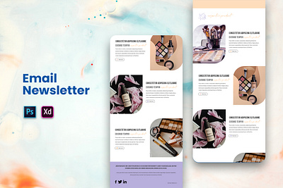 Email Newsletter catalog design design email email newsletter email templete graphic design newsletter