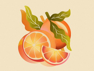 Citrus branding citrus color theory colorful design fruit fruit illustration fruity grapefruit graphic design illustration juicy logo orange procreate tea tropical tropical fruit vector
