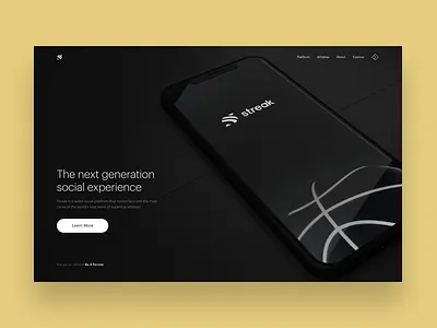 Streak: Website landing page product design ui web design website