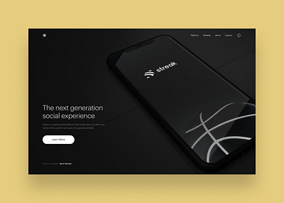 Streak: Website landing page product design ui web design website