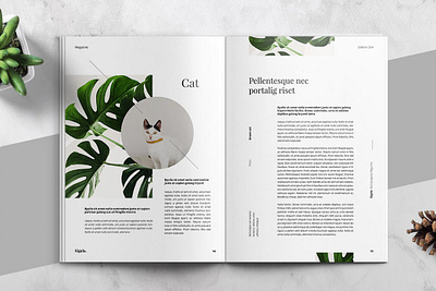 Minimal Magazine Template a4 branding brochure brochure design brochure template catalog clean fashion garden graphic design indesign letter lookbook magazine minimal minimalist modern multipurpose portfolio print