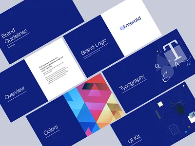 Healthcare - Brand Guidelines brand identity branding guidelines visual design