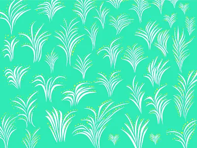 flowers 2d adobe illustrator design flowers illustration vector