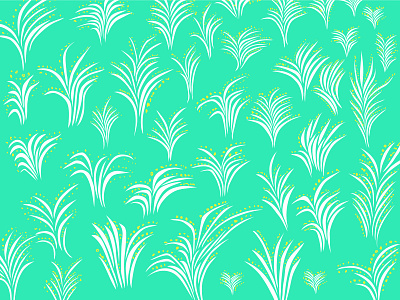 flowers 2d adobe illustrator design flowers illustration vector