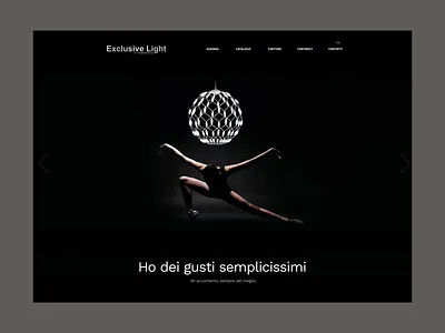 Exclusive Light - Home page clean design flat interface minimal ui website
