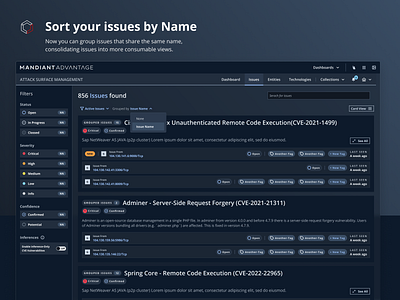Grouped Issues app asm cybersecurity design grouped issues interaction design interface issues mandiant ui user experience user interface ux