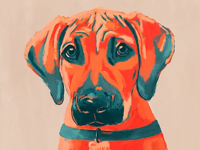 Nellie illustration procreate puppy rhodesian