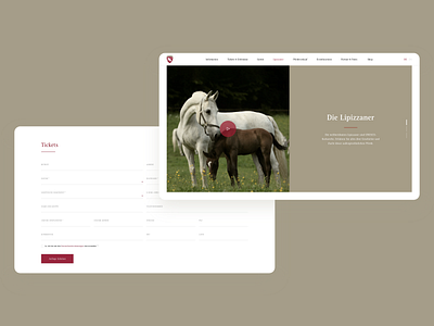 Hero & More // Web Design clean contact form design form hero section ui uiux web design website