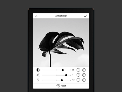 Image Adjustment adjustment app blackandwhite bw clean controls design e ink gallery image minimal ui ux