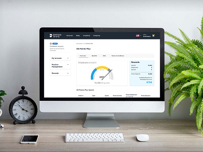 Dashboards for Customer Loyalty Programs dashboard data viz product design ui design ux design