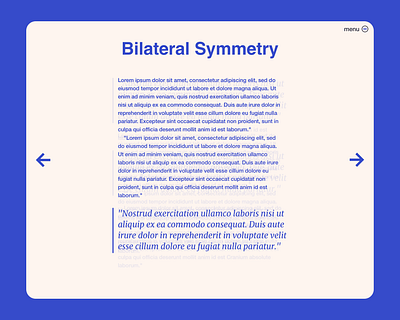 Superliminal Presentation View