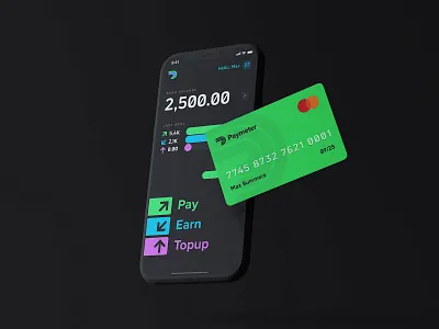 Paymeter FinTech App Concept concept credit card design fintech interface