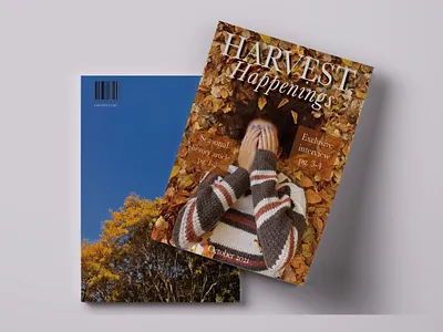 Mini-zine design editorial graphic design magazine design print writing