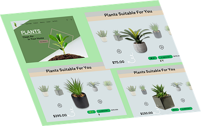 Plant Sore beautiful plant store ui