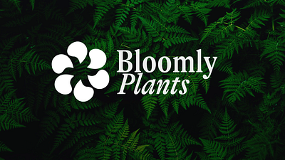 Bloomly Plants Logo and Branding Design animation art direction brand identity branding design graphic design illustration logo motion graphics typography visual identity website design