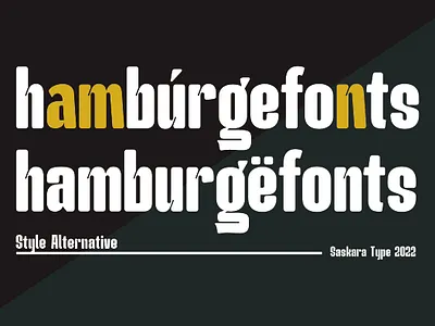 Poster Vol 1 brochure card design font graphic design headline illustration modernfont serif serif font vintage