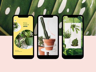 Social media template | Hexal Design branding instagram interiorbrand plant plants social media some stories