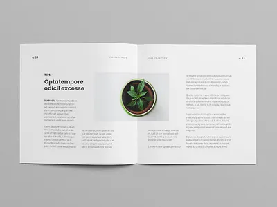 Minimal Square Catalog botanic brochure brochure design brochure portfolio catalog catalog design catalog template catalogue clean elegant indesign marketing minimal photography portfolio product promotion square template