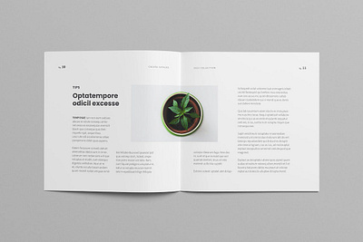 Minimal Square Catalog botanic brochure brochure design brochure portfolio catalog catalog design catalog template catalogue clean elegant indesign marketing minimal photography portfolio product promotion square template