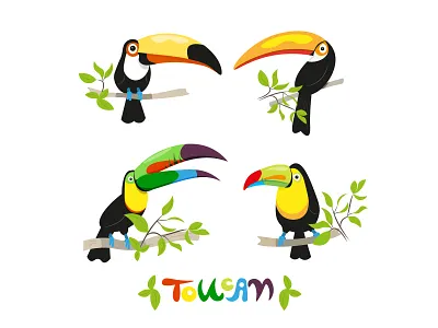 Set of Different Toucans bird graphic design nature parrot stickers toucan tropical birds ukrainian artist