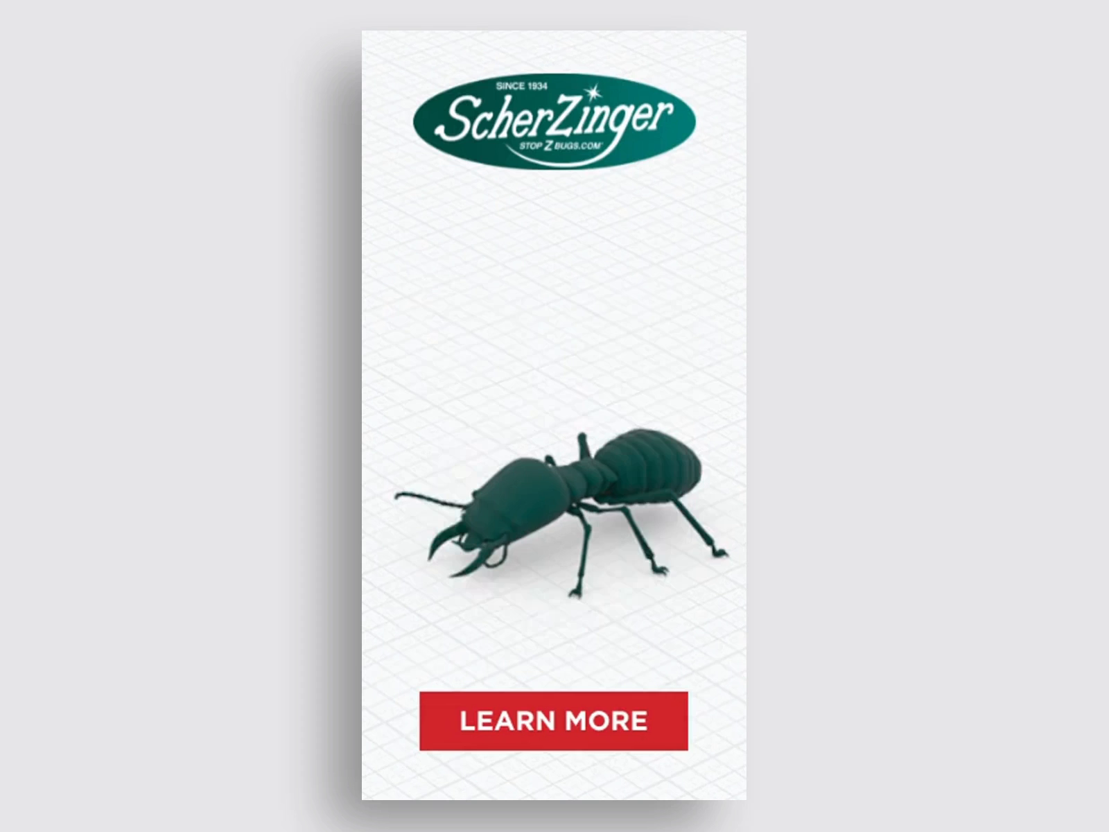 Example of Animated Html5 Ad Package 