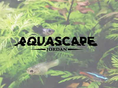 Aquascape logo. aquarium fish graphic design lettering sea typography