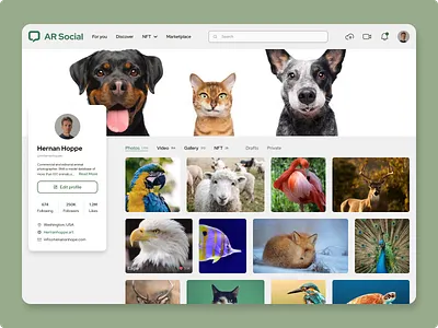 👤 User Profile Concept animal clean daily 006 dailyui 006 design figma instagram landing page profile profile page profile screen simple social social media ui ui design user profile web web design zoo