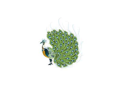 Peacock and It's Pride animal flat graphic design illustration