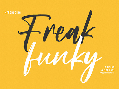 Freak Funky Brush Script Font beauty brush brush font design font fonts handmade ipad magazine poster script website