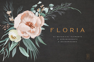 Floria - Botanical Elements backgrounds botanical botanical clipart botanical illustration eucalyptus eucalyptus leaves eucalyptus wedding leaf clipart leaves painted botanicals painted flowers wedding graphics wedding invitation