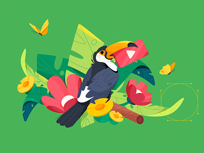 Brazilero 2d animation bird brazilero character flower green illustration nature peace tucan