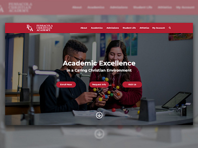 PCA Website design ui ux web website website design