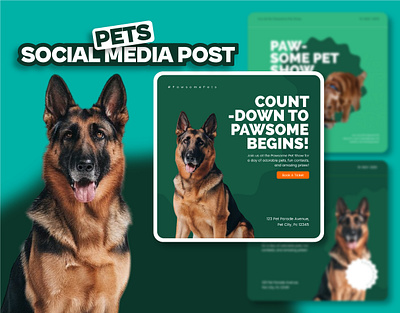 Social Media Posts Collection For Pet Adoption branding care creative design food graphic design health illustration marketing media paw pet pet care post posts shop social social media social posts