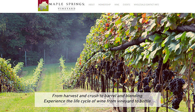 Winery Website Design branding design squarespace design typography web design website design winery