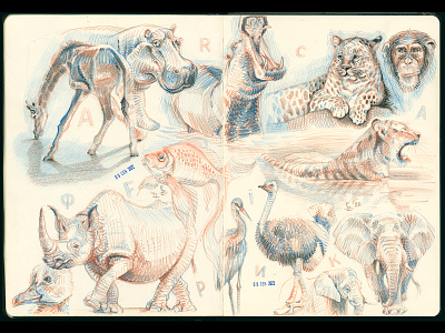 Studies [pencil drawing] africa animal animalism character concept art cross hatching crosshatching design drawing etching graphic illustration sketch sketchbook sketching traditional art