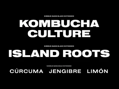 Kombucha Culture Rebrand beverage design beverage packaging branding branding design cbd cpg identity kombucha kombucha packaging label label design packaging typography