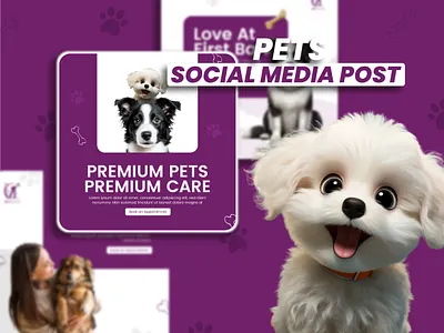 Social Media Posts Collection for Pet Care branding care creative design graphic design health marketing pet pet food post shop social media