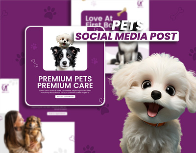 Social Media Posts Collection for Pet Care branding care creative design graphic design health marketing pet pet food post shop social media