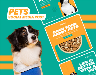 Pets Social Media Posts Collection Template branding care creative design graphic design health illustration marketing media pet post social social media