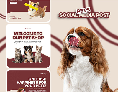 Pet Care Social Media Posts Collection branding creative design graphic design health illustration marketing media pets post posts social social media