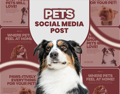 Social Media Pet Care Posts Collection branding care creative design graphic design health illustration marketing pet pet care post shop social media