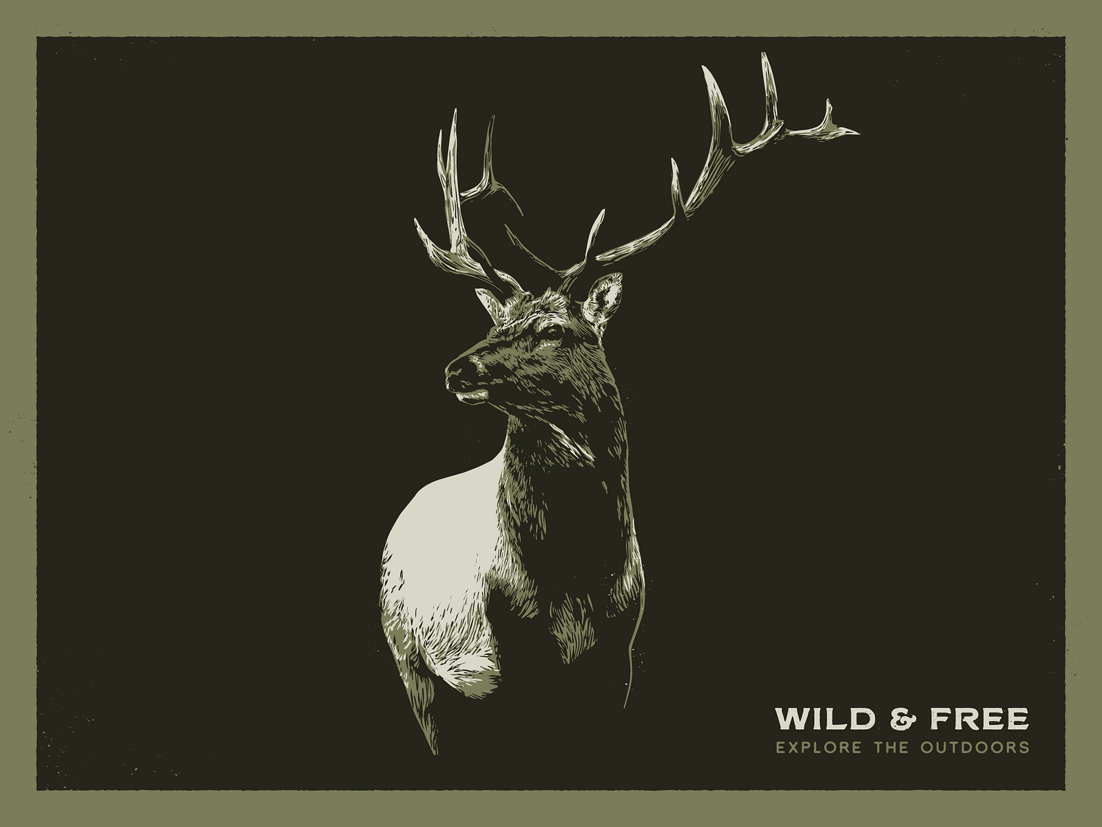 Wild & Free by Cam O'Brien on Dribbble