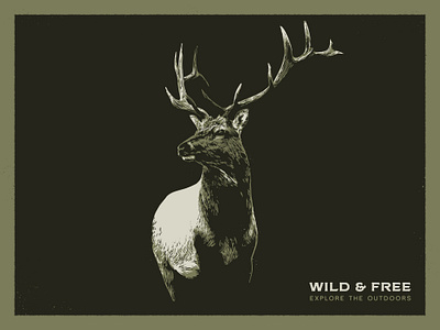 Wild & Free deer design hand drawn illustration illustrator lettering nature outdoors vintage wild life