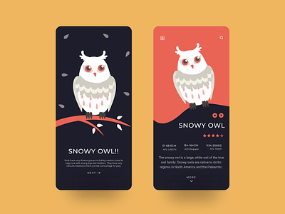 Snowy Owl App Concept app app screen application bird app dark app design figma illustration mobile app mobile design owl owl app screen snow splash screen theam ui ux