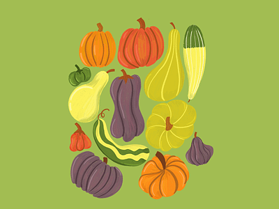 Gourds design fall farmers market gourd hand drawn illustration illustrator procreate thanksgiving vegetables veggies