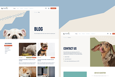 Chi Dog Website Design - Blog & Contact Us Page blog chi dog contact us dog food ecommerce lightspace shopify ui ui design web design website design