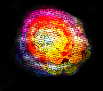 Geo Flower graphic design photo edit