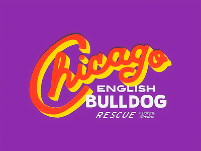 Retro Logotype Design - Chicago brand brand identity branding chicago colorful colorful typography company logo design english bulldog logo logo design purple purple palette retro retro style typo vintage vintage vibe visual identity visuals