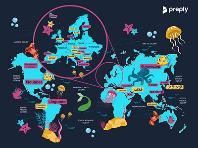 Preply - Data visualisation branding illustration