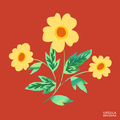 Warm and Cool Flowers color palette flowers illustration nature procreate